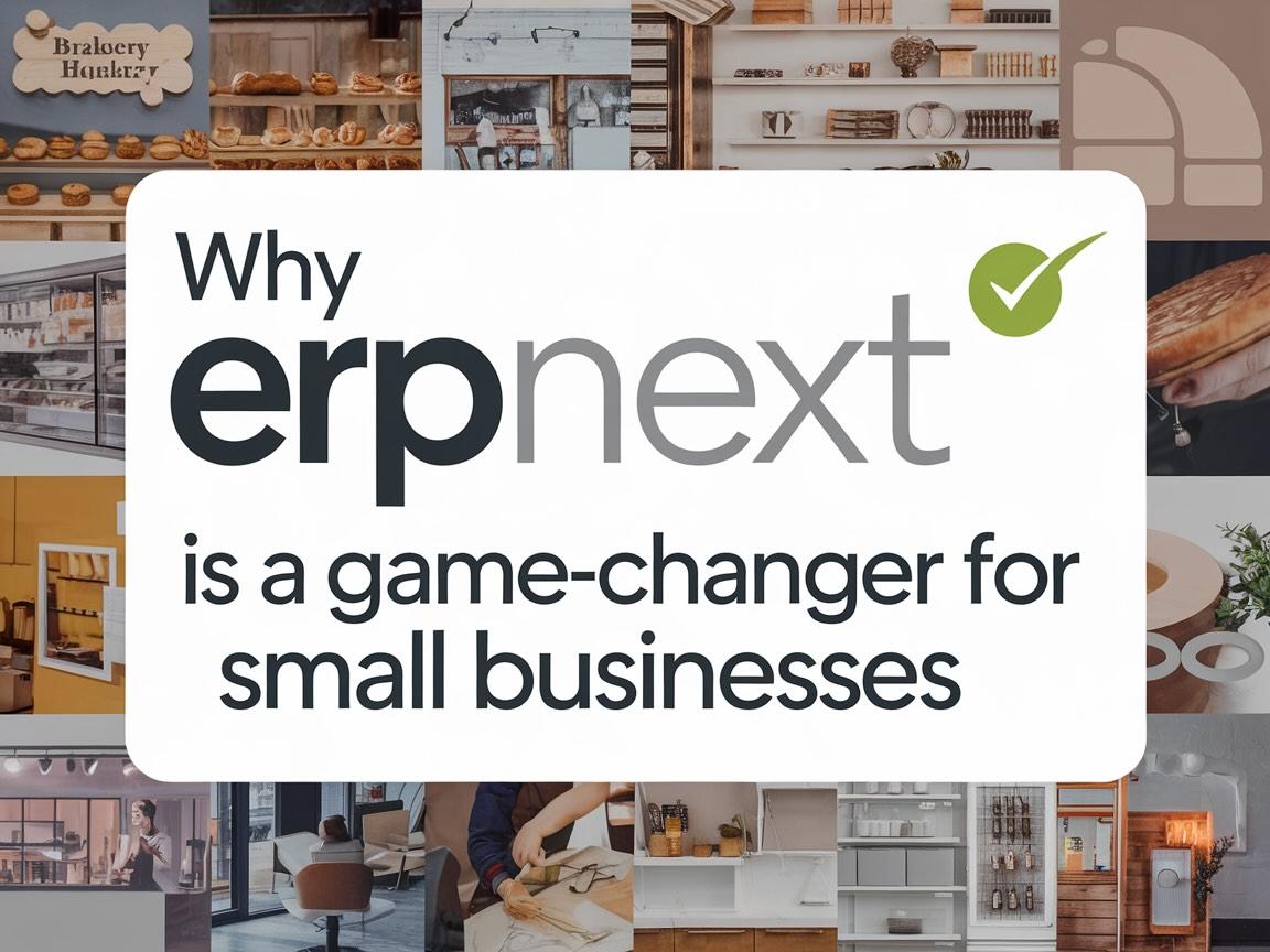 Custom ERP software for SMEs / ERPNext - Cover Image